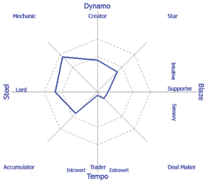 Wealth dynamics personality profile test