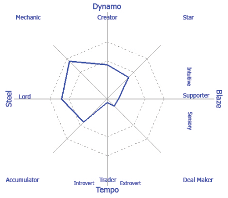 wealth dynamics profile example
