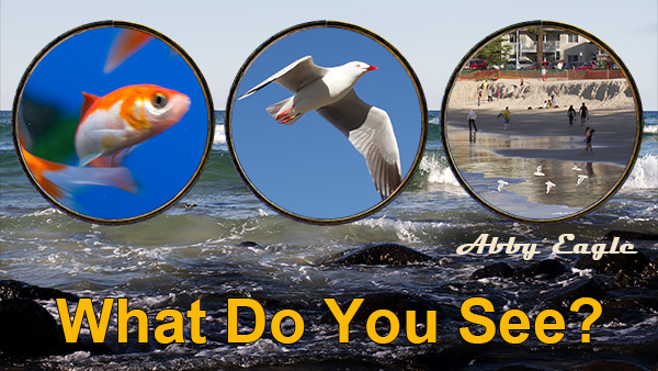 NLP perceptual positions and meditation