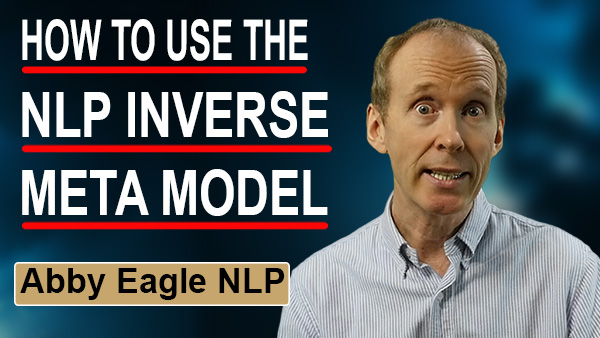 NLP Inverse Meta Model
