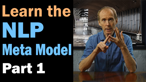 Why learn the NLP Meta Model?