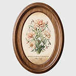 January Birth Month Flowers 1